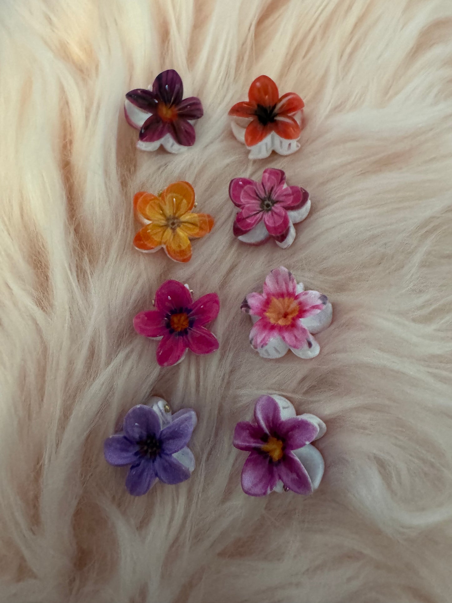 Petite pince à cheveux différente couleurs