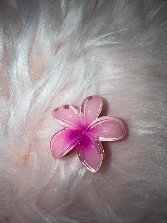 Moyenne pince à cheveux HAWAIEN