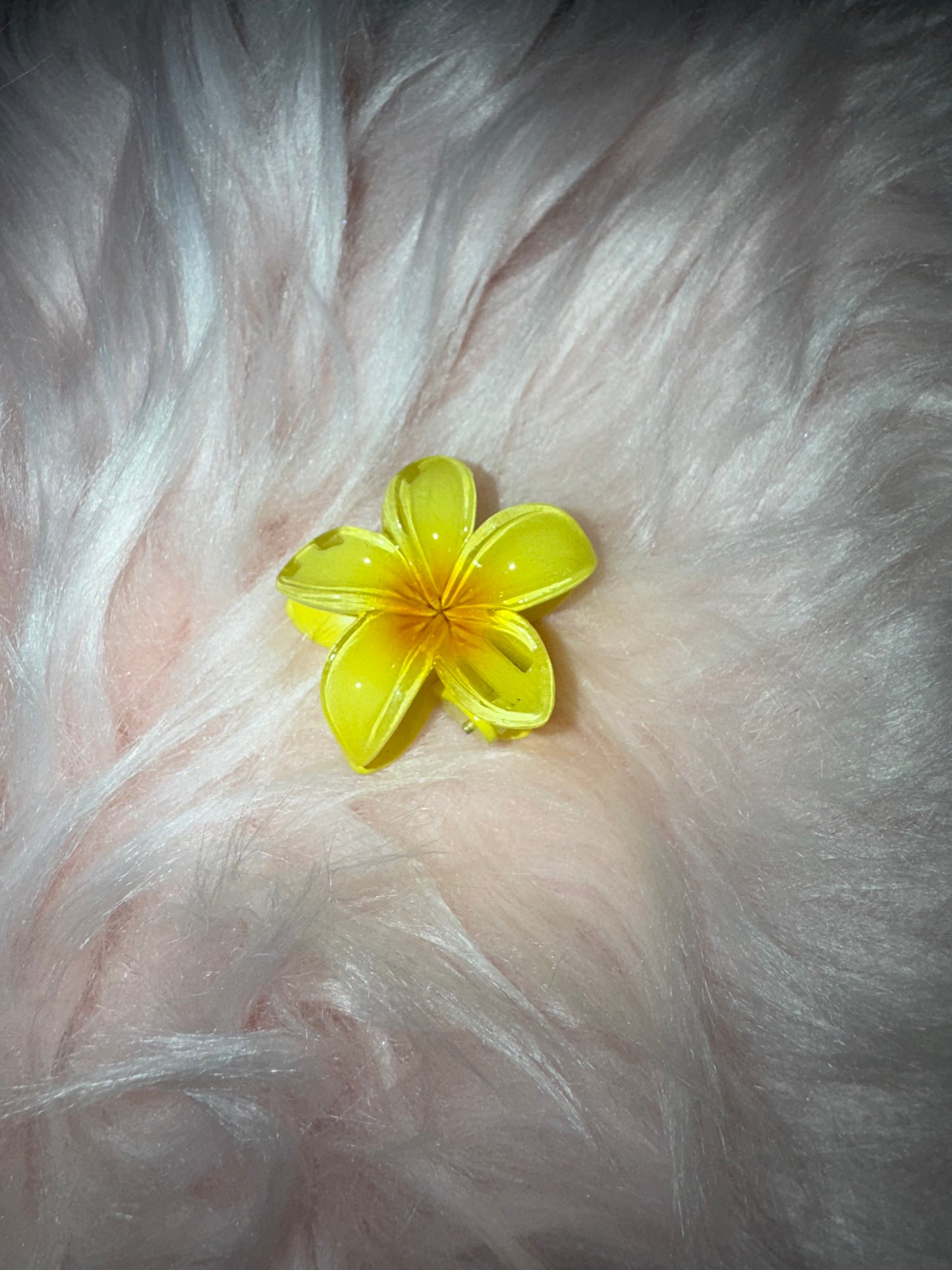 Moyenne pince à cheveux HAWAIEN