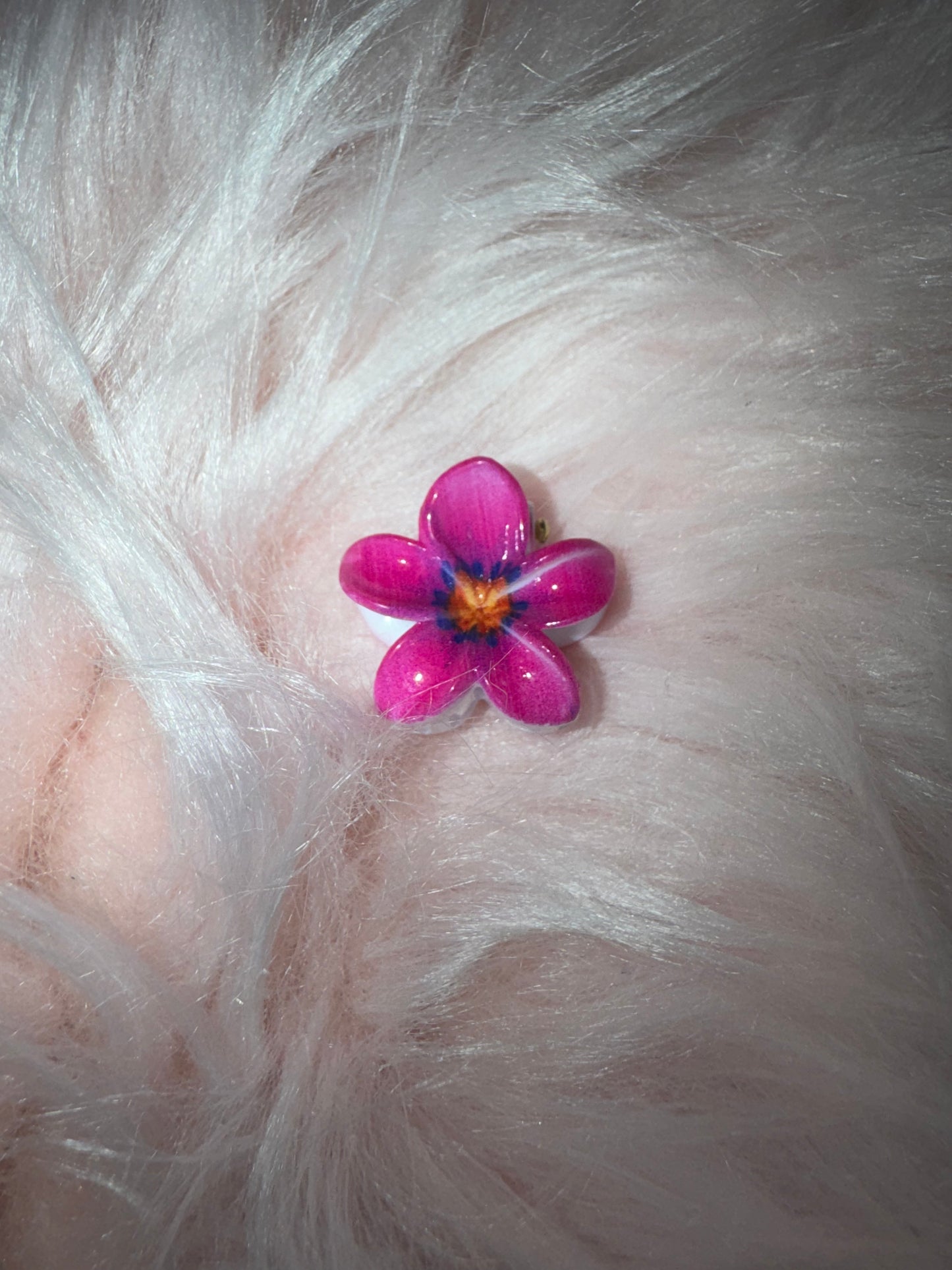 Petite pince à cheveux différente couleurs
