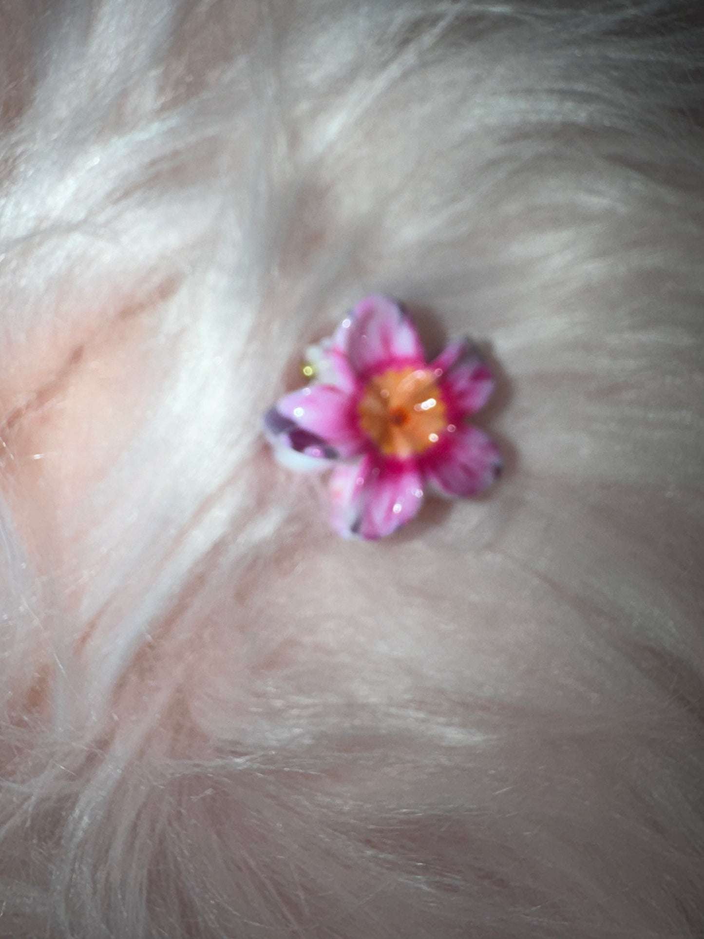Petite pince à cheveux différente couleurs